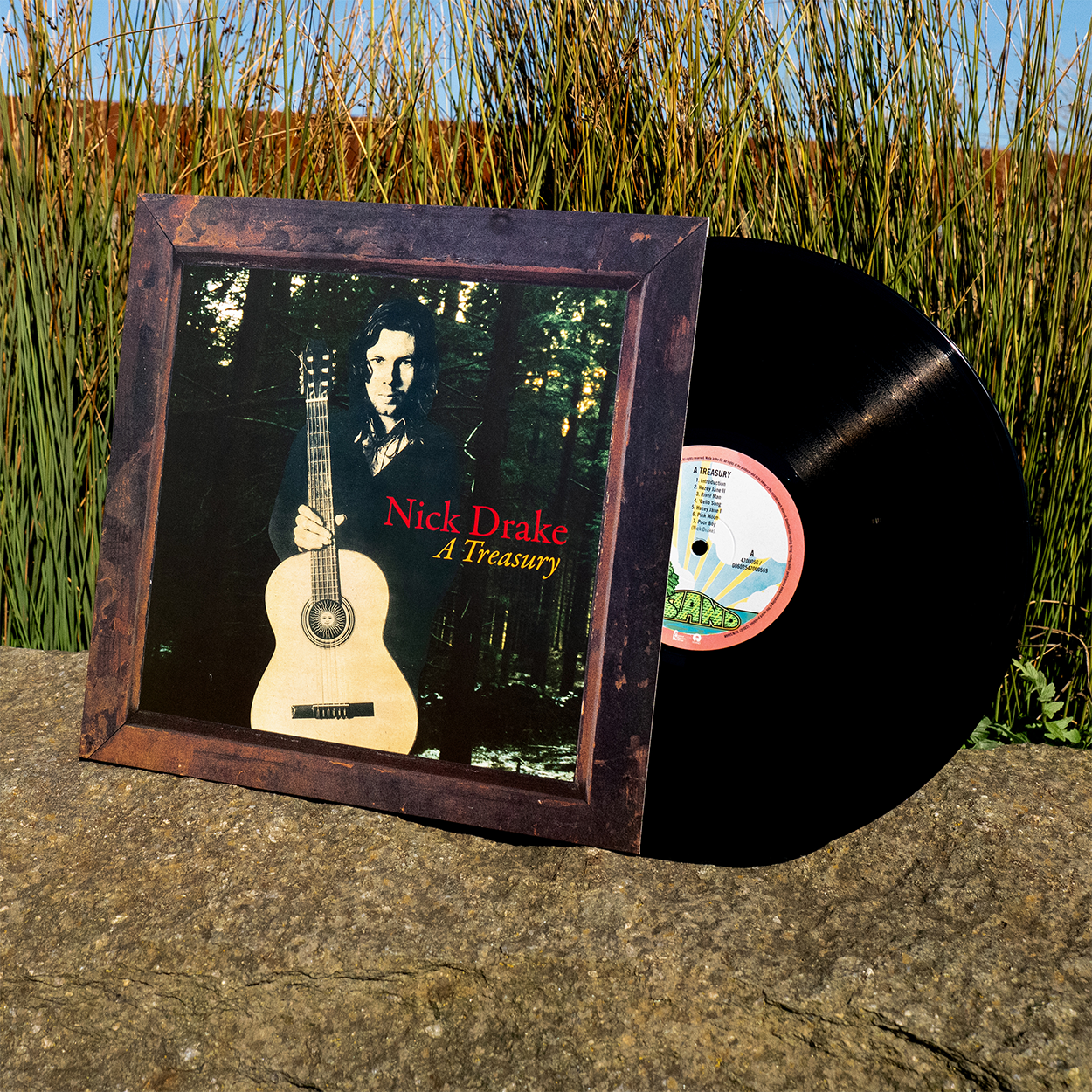 Nick Drake - A Treasury: Vinyl LP