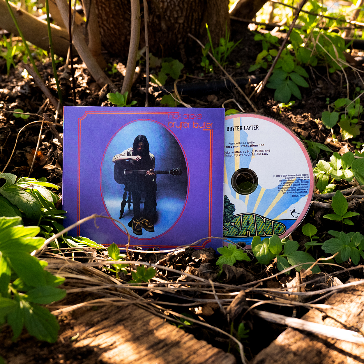 Nick Drake - Bryter Layter: CD