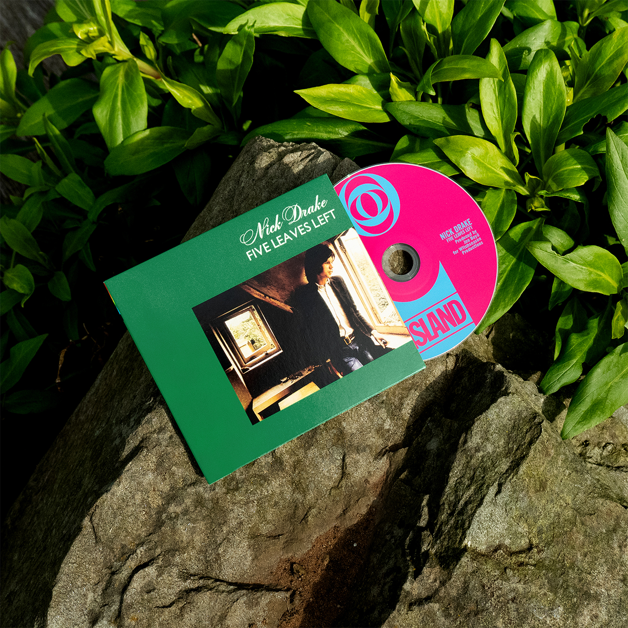 Nick Drake - Five Leaves Left: CD