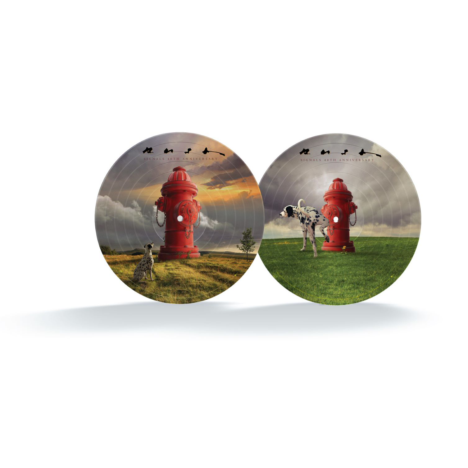 Rush - Signals (40th Anniversary): Picture Disc LP