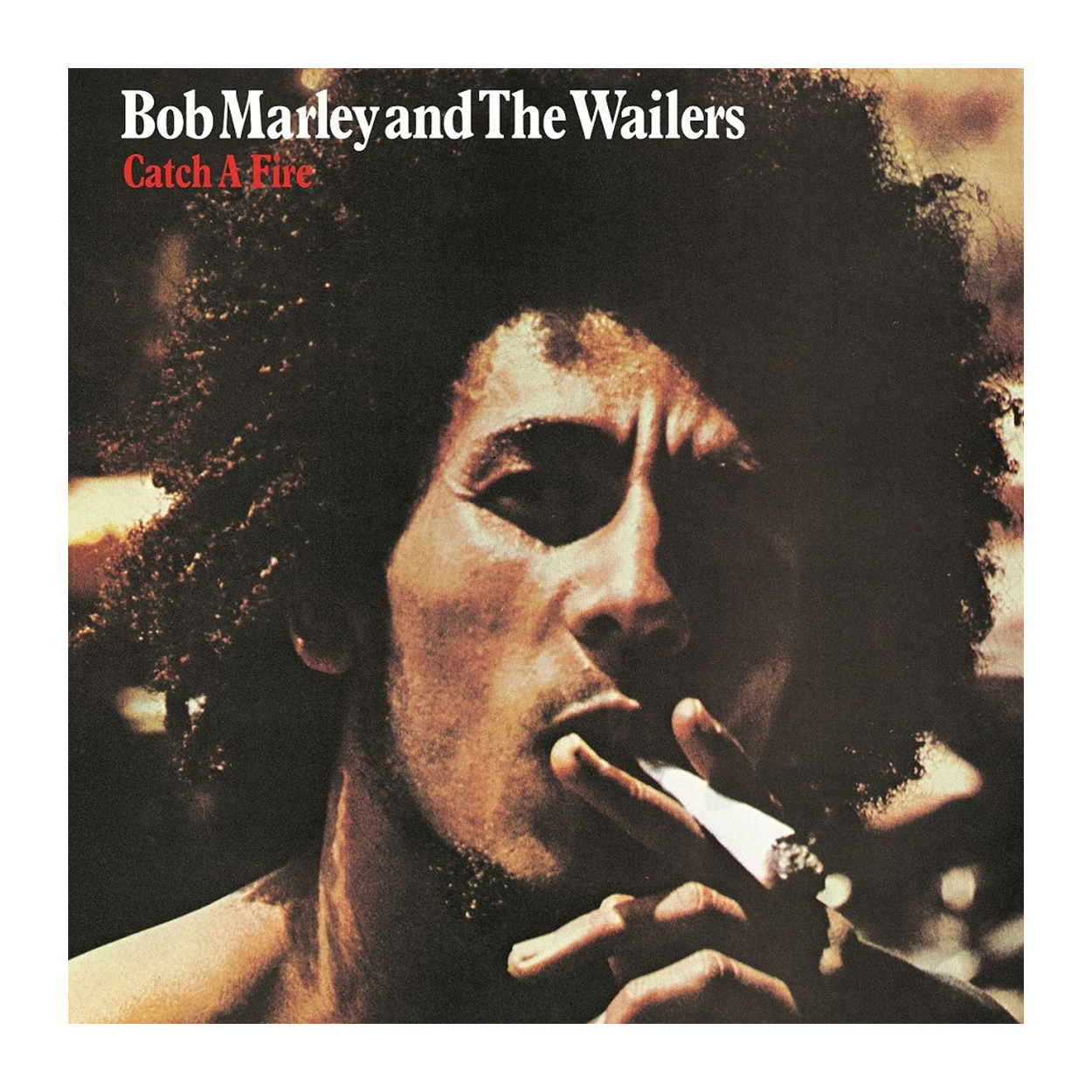 Bob Marley & The Wailers, Chineke! Orchestra - Catch A Fire: Vinyl LP